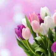 ✿花✿コメントください⭐︎プロフ必読の画像