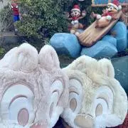 ToiToの画像