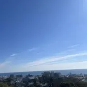 エリンギの画像