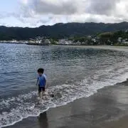 ゆた