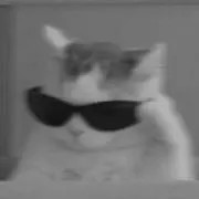 hiiの画像