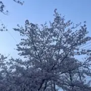 YUNの画像