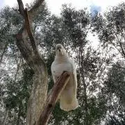 ひろぽんの画像