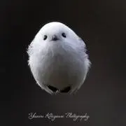 まよちゃ♡即購入可♡の画像