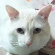 ばんきんや