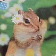 たま子の画像