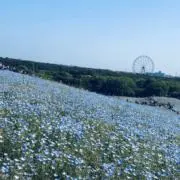 ひーる【値段交渉OK!】の画像