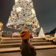 のんの画像