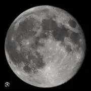 WISDOMの画像