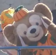 Koariの画像