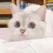 A♡