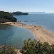 めあり