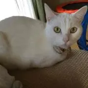 みくたん プロフ確認して下さい♪