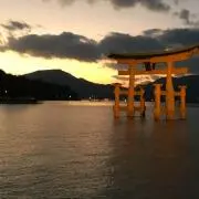 ひめの画像