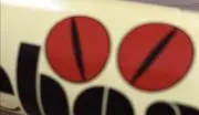 かなぶんの画像