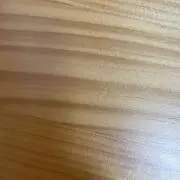 ばばの画像