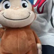 にかの画像