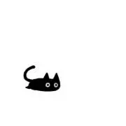 ねこの画像