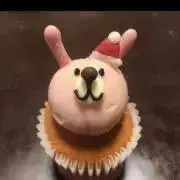 ぴょんの画像