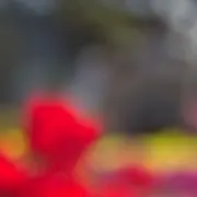 あずきの画像