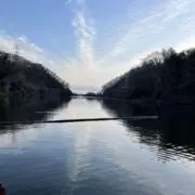 モモ
