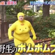 ちーの画像