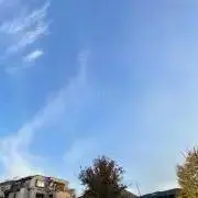 Rinoの画像