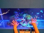 購入前コメント必須☆断捨離中毎日バタバタの画像