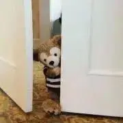 manaの画像
