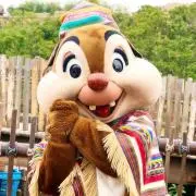 yukiの画像