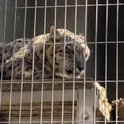 たなかの画像