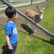 みい☆の画像