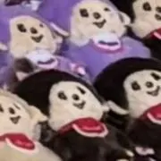 ぬいの画像