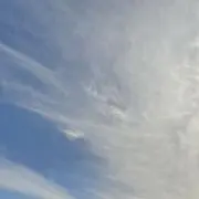 葡萄の画像