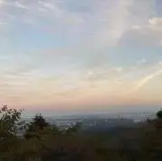 wwcy