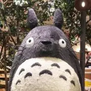 トトロの画像