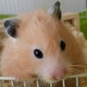 みるてぃ♡