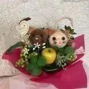 B.S.Hの画像