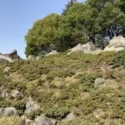 はなちゃん