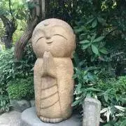 あおめの画像