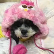 COCORO