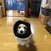 ハリー雅