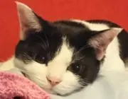 あや♡即購入OKの画像