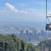 和羽の画像