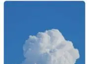 とろろちゃんの画像