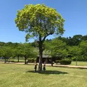 ひろ