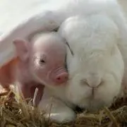 ☆ちゃちゃ丸☆プロフ見てね(*^^*)