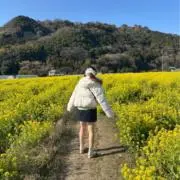 もも　即日発送の画像