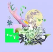 cyanの画像