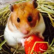 あーちゃんの画像